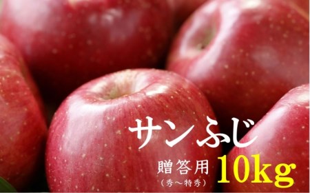 No.1011 【2021年度産先行受付】りんご サンふじ 10kg 大玉 【贈答用】 林檎 リンゴ(秀~特秀)