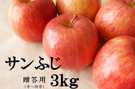 No.1012 【2021年度産先行受付】りんご サンふじ 3kg 大玉 【贈答用】 林檎 リンゴ(秀~特秀)