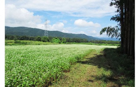 No.0834　そばがき粉（会津のかおり）600ｇ