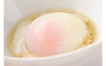 No.0979 森山の温泉たまご ガンバ卵ショ10個入り×6箱セット