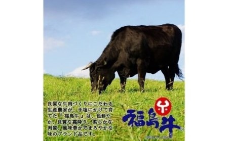 No.0996　最高級　黒毛和牛 サーロインステーキ 600g  特選福島牛A5～A4等級