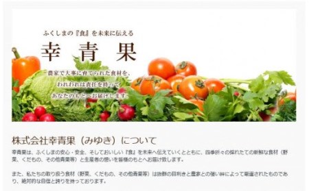 No.2064　【2022年度発送】りんご「サンふじ」家庭用約3kg　林檎 リンゴ