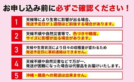 No.1618プチ贅沢な食べ切りサイズ 美味しい品種を厳選！ゆうぞら 約1.4kg【2024年発送】