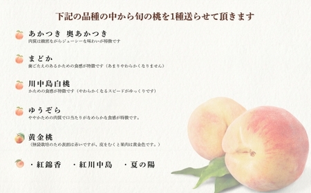 No.1758もも 8月収穫の桃 品種お任せ 約2kg【2026年発送】