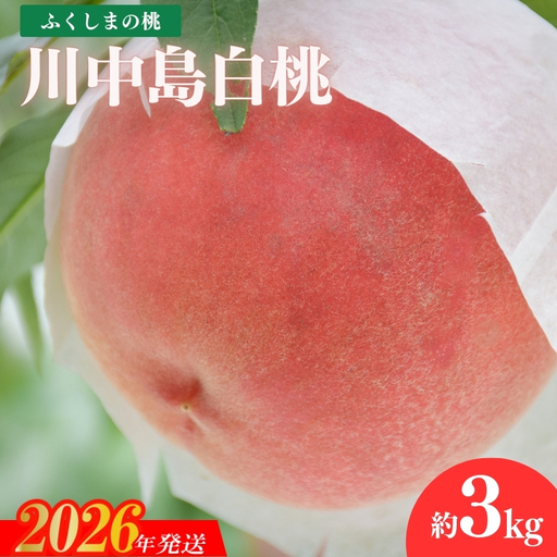 No.1819もも「川中島白桃」約3kg【2026年発送】