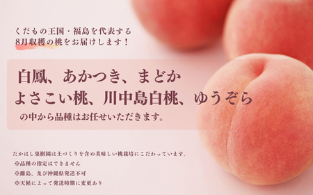 No.1905たかはし果樹園の桃　8月収穫約1.5kg【2026年発送 先行予約】