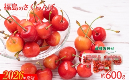 No.2094さくらんぼ 品種お任せ 秀　L玉　約600ｇ（200ｇ×3パック）【2026年発送 先行予約】