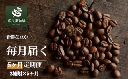 No.2167椏久里珈琲スペシャルティコーヒー5ヶ月定期便