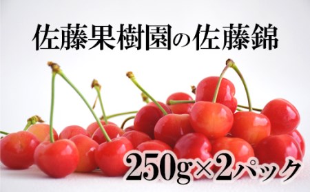 No.2204中野/佐藤果樹園 佐藤錦500g(250g×2パック)【2023年発送】