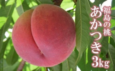 No.2206中野/佐藤果樹園 もも「あかつき」約3kg【2023年発送】