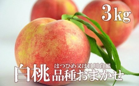No.2209中野/佐藤果樹園 もも早生品種お任せ 約3kg【2023年発送】