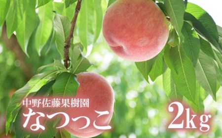 No.2213中野/佐藤果樹園 もも「なつっこ」約2kg【2023年発送】