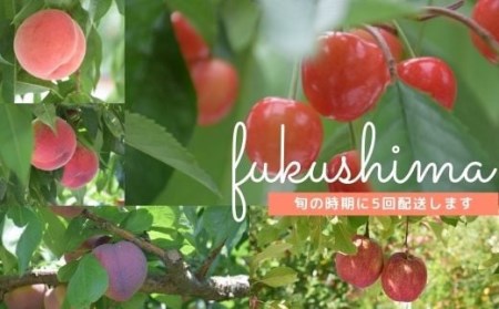 No.2217中野/佐藤果樹園【全5回】季節の人気フルーツ定期便【2023年発送】