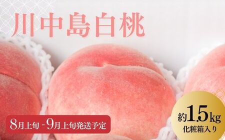 No.2219中野/佐藤果樹園 もも「川中島白桃」約1.2kg【2023年発送】