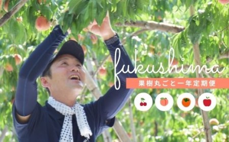 No.2223桜田/佐藤果樹園 果樹まるごと一年おまかせセット【2023年発送】