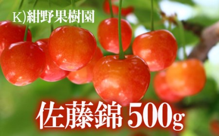 No.2240(K)紺野果樹園 サクランボ「佐藤錦」500g【2023年発送】