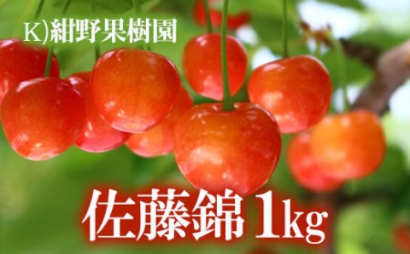 No.2241(K)紺野果樹園 サクランボ「佐藤錦」1kg【2023年発送】