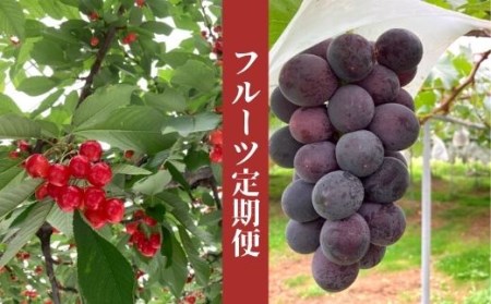 No.2271株式会社円和 青果部 さくらんぼから始まる果物2品 定期便【2023年発送】