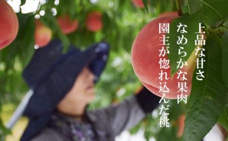 No.2235ヤマ考紺野果樹園 もも ゆうぞら 約2kg【2026年発送】