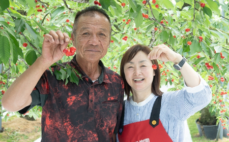 No.2282ヤマ考紺野果樹園 さくらんぼ 佐藤錦 200g×2パック【2026年発送】