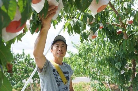 No.2297福島のもも「まどか」約5kg【2026年発送 先行予約】
