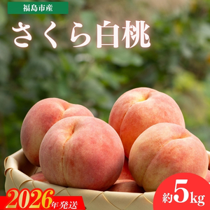 No.2321もも　「さくら白桃」約5kg【2026年発送】