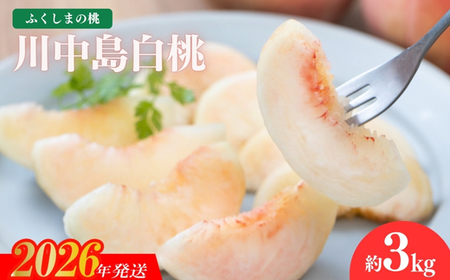 No.2415もも「川中島白桃」 約3kg【2026年発送】