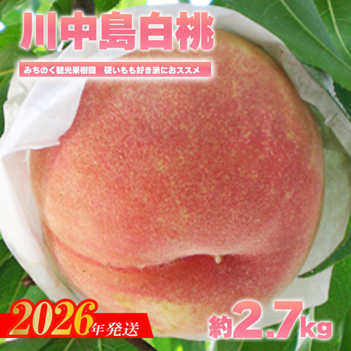 No.2348もも「川中島白桃」贈答用　約2.7kg【2026年発送　先行予約】