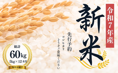 No.2498【令和7年産】大文字屋米穀店【定期便12回】コシヒカリ 5kg 精米（毎月お届け）