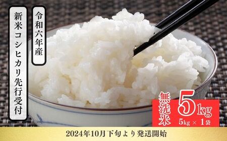 No.2500大文字屋米穀店【令和6年産 新米先行受付】コシヒカリ精米（無洗米）1等米 5kg