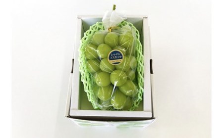 No.2503くるま農園　シャインマスカット（１房）【2026年発送】