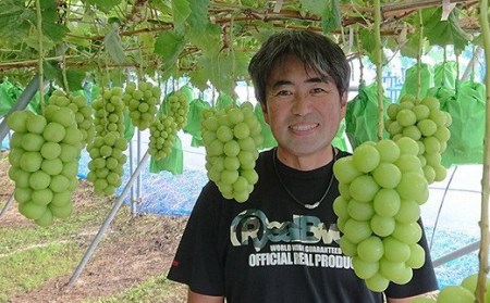 No.2504くるま農園　シャインマスカットとぶどう2種（全3房）【2026年発送】