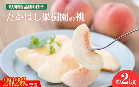 No.2531たかはし果樹園の桃　8月収穫約2kg【2026年発送 先行予約】