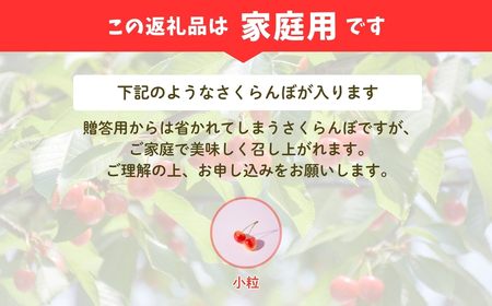 No.2575【ご家庭用】さくらんぼ 品種お任せ 約1kg（バラ詰、小粒）【2026年発送 先行予約】