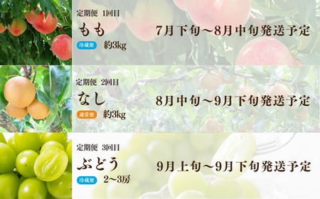 No.2528 【2026年発送分】フルーツ３種定期便　（桃約３kg、梨約３kg、ｼｬｲﾝﾏｽｶｯﾄ2～3房）