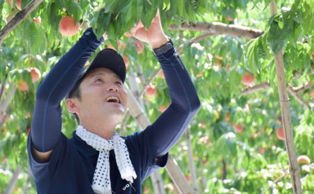 No.2640福島の桃「さくら白桃」約3kg【2026年発送】