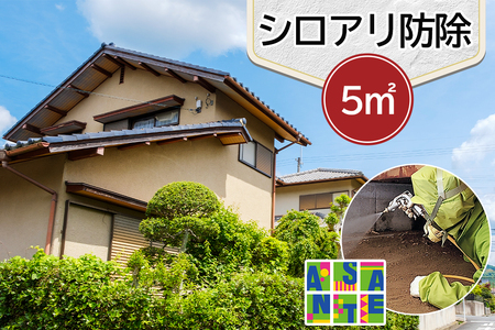 シロアリ 防除作業一式 5平米 チケット (1万6500円分)｜白アリ 白蟻 防除 対策 会津若松市 家 自宅 実家 別荘 クーポン 補助券 割引券 利用券 アサンテ [0905]