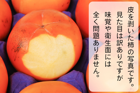 会津身しらず柿 (訳あり・家庭用) 約4.5kg (13個から20個入り) 渡部柿園産｜会津若松 訳アリ 果物 フルーツ 柿 みしらず かき カキ 会津身不知柿 令和7年 2025年 旬 [0937]