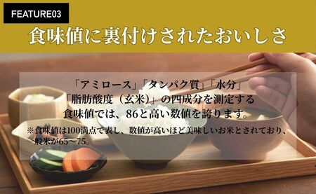 令和7年産 会津産コシヒカリ 米でいいの田゛白米 10kg (5kg×2袋)｜令和7年 2025年 会津産 米 お米 こめ コメ 精米 こしひかり 新米 [1155]
