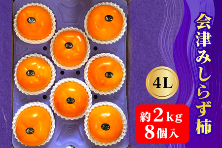 会津身しらず柿 4L (8個入り) 約2kg 果樹園 壱心産｜会津若松 果物 フルーツ 柿 身知らず みしらず かき カキ 会津身不知柿 令和7年 2025年 旬 [0950]