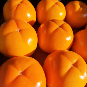 会津身しらず柿 4L (8個入り) 約2kg 果樹園 壱心産｜会津若松 果物 フルーツ 柿 身知らず みしらず かき カキ 会津身不知柿 令和7年 2025年 旬 [0950]