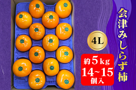 会津身しらず柿 4L (14個から15個入り) 約5kg 果樹園 壱心産｜会津若松 果物 フルーツ 柿 身知らず みしらず かき カキ 会津身不知柿 令和7年 2025年 旬 [0951]