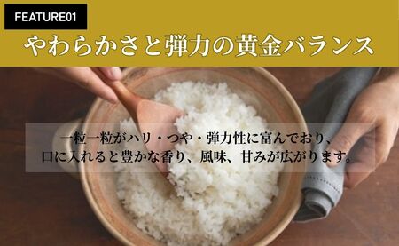 令和7年産 会津産コシヒカリ 米でいいの田゛玄米 10kg (5kg×2袋)｜令和7年 2025年 会津産 米 お米 こめ コメ 玄米 こしひかり [1154]
