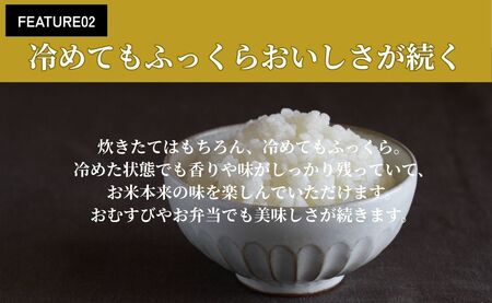 令和7年産 会津産コシヒカリ 米でいいの田゛玄米 10kg (5kg×2袋)｜令和7年 2025年 会津産 米 お米 こめ コメ 玄米 こしひかり [1154]