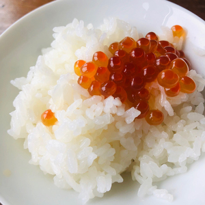 令和7年産 アイガモ栽培米 (白米) とロハ酒飲み比べセット｜2025年産 米 こめ ごはん 地酒 日本酒 [1105]