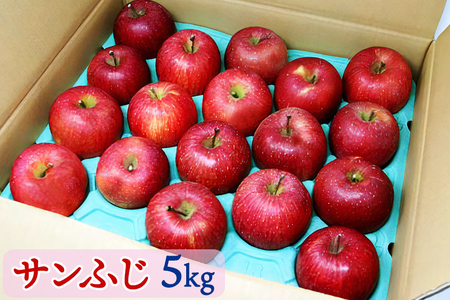 サンふじ5kg【りんご】｜会津若松 果物 リンゴ 林檎 フルーツ [0224]