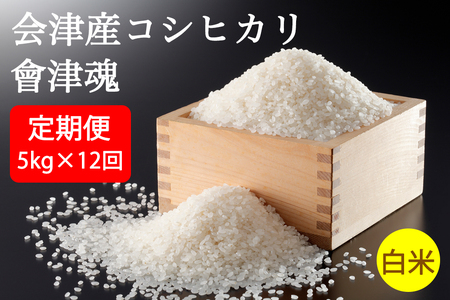 [定期便／12ヶ月] 会津産コシヒカリ「會津魂」【白米】5kg×12回｜令和6年産 新米 こしひかり 会津若松市 お米 米 こめ 精米 [0806]