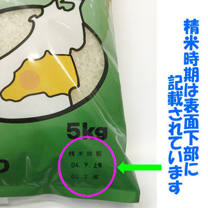 [定期便／6ヶ月] コシヒカリ 玄米 10kg 二瓶商店｜令和5年 会津産 米 白飯 お米 2023年 こしひかり [0302]