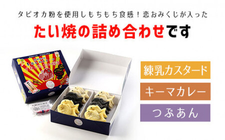 目の付け処がいいイカしたたい焼セット 【 ふるさと納税 人気 おすすめ ランキング たいやき たい焼き タイ焼き お菓子 黒いたい焼き 鯛焼き たい焼き詰め合わせ 北海道 北斗市 送料無料 】 HOKO001