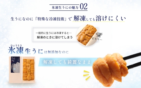 「うにむらかみ」氷凍生うに(冷凍生うに)　70g×1枚 【 ふるさと納税 人気 おすすめ ランキング うに ウニ 雲丹 海栗 塩水ウニ 塩水うに キタムラサキウニ バフンウニ うに丼 海鮮 ミョウバン 不使用 北海道 北斗市 送料無料 】 HOKT007